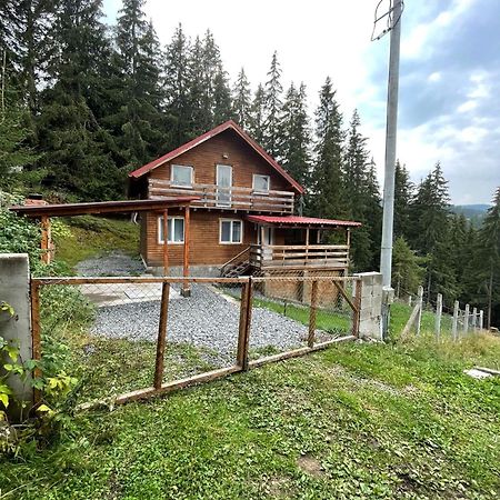 Cabana Dintre Brazi Muntele Baisorii Exterior photo